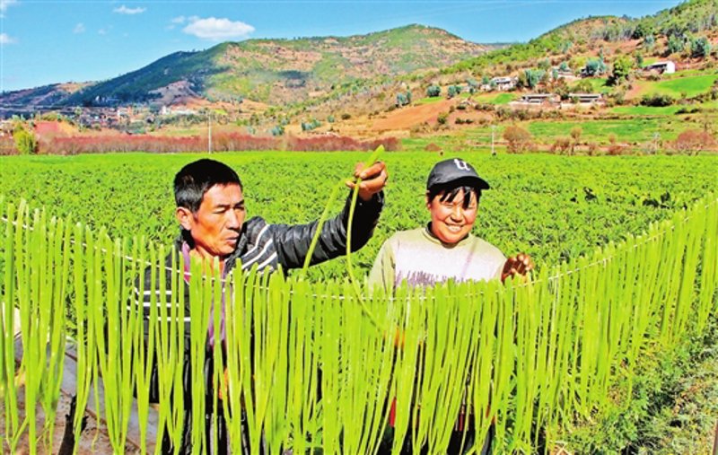 如何在“微大田找工作”中脱颖而出？
