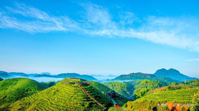如何在“微大田”找到理想的工作？一份实用指南